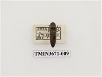 藏品(叩頭蟲(2))的圖片